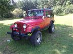 1982 AMC Jeep Picture 2