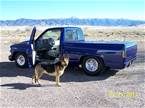 1990 Chevrolet C-1500 Picture 2