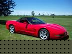 1999 Chevrolet Corvette Picture 2
