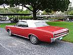 1966 Pontiac LeMans Picture 2