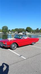 1966 Ford Thunderbird Picture 2