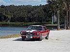 1966 Ford Mustang Picture 2