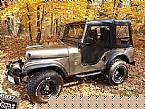 1967 Jeep CJ5 Picture 2