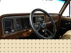 1974 Ford F250 Picture 2