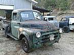 1954 Dodge Pickup Picture 2