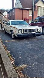 1975 Plymouth Road Runner Picture 2