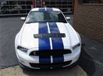 2014 Ford Shelby Picture 2