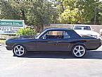 1965 Ford Mustang Picture 2