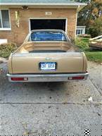 1985 Chevrolet El Camino Picture 2