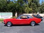 1965 Ford Mustang Picture 2