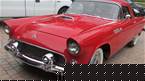 1955 Ford Thunderbird Picture 2