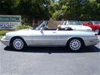 1991 Alfa Romeo Spider Picture 2