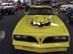 1977 Pontiac Trans Am Picture 2