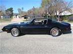 1979 Pontiac Trans Am Picture 2