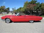 1964 Ford Thunderbird Picture 2