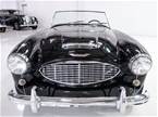1957 Austin Healey 100-6 Picture 2