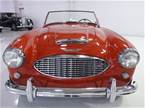 1959 Austin Healey 100-Six Picture 2