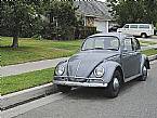 1965 Volkswagen Beetle Picture 2