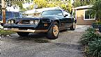 1977 Pontiac Firebird Picture 2