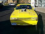 1980 Chevrolet Malibu Picture 2