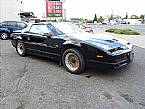 1987 Pontiac Firebird Picture 2