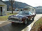 1975 Chevrolet Malibu Picture 2