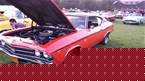 1969 Chevrolet Chevelle Picture 2
