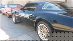1979 Pontiac Trans Am Picture 2