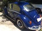 1966 Volkswagen Beetle Picture 2