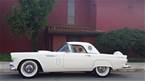 1956 Ford Thunderbird Picture 2