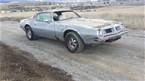 1975 Pontiac Trans Am Picture 2