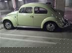 1963 Volkswagen Beetle Picture 2