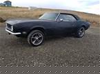 1968 Chevrolet Camaro Picture 2