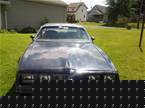 1979 Pontiac Firebird Picture 2