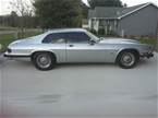 1992 Jaguar XJS Picture 2