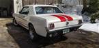 1964 1/2 Ford Mustang Picture 2