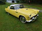 1956 Ford Thunderbird Picture 2