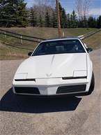 1983 Pontiac Trans Am Picture 2