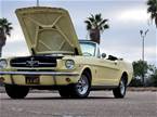 1964 Ford Mustang Picture 2