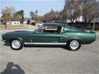 1967 Shelby GT500 Picture 2