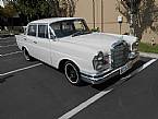 1962 Mercedes 220S Picture 2