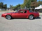 1976 Pontiac Trans Am Picture 2