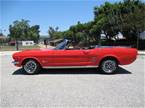 1966 Ford Mustang Picture 2
