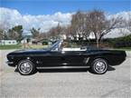 1966 Ford Mustang Picture 2