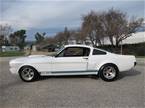 1966 Shelby GT 350 Picture 2