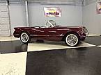 1953 Chevrolet Corvette Picture 2