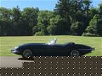 1967 Jaguar XKE Picture 2