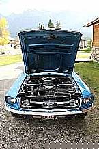 1967 Ford Mustang Picture 2