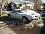 1975 Pontiac Firebird Picture 2