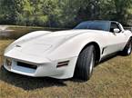 1980 Chevrolet Corvette Picture 2